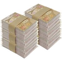 チキュウグリーティングス 領収証(単票式) R-105 1セット(1冊100枚綴り×30)（直送品）