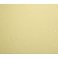 ジョインテックス 色紙 サイン用 100枚 N101J-S-2P 1セット(3セット)（直送品）