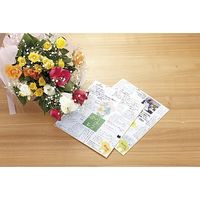 ジョインテックス 色紙 画仙 50枚 N102J-G-5P 1セット(3セット)（直送品）