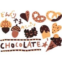 三菱鉛筆 ポスカ PC-3M.21 細字 茶 PC3M.21 1セット(30本)（直送品）