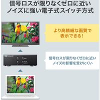 サンワサプライ ディスプレイ切替器(ミニD-sub(HD)15pin用)・2回路 SW-EV2N2 1個