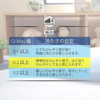 クリエイトアルファ 1個 接触冷感スカイジェルピロー NB 4582243750462-NB-1（直送品）