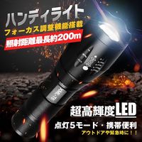 グリーンクロス ハンディライト ad202　1個（直送品）