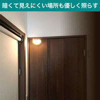 朝日電器 もてなしライト HLH-2206 1個