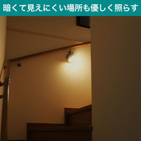 朝日電器 もてなしライト HLH-2205 1個