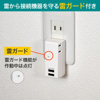 朝日電器 耐雷USBタップ2個口2ポート2.4A UA-222SL 1個