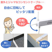 延長コード 電源タップ 2P式 2m 4個口 USB2ポート スリム回転タップ USB急速充電 雷ガード 朝日電器（ELPA） WBS-SL402USB(W)