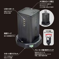 延長コード 電源タップ OAタップ 2P式 2m 12個口 USB×4 耐雷 USB急速充電 タワー型 朝日電器（ELPA） WBS-TW1204USB(BK)