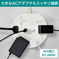 朝日電器 耐雷丸形4P2mUSBタップ WLS-LS402RUSB(W) 1個（直送品）