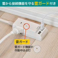 朝日電器 耐雷USBコード付きタップ 1.5m WL-2215SU 1個