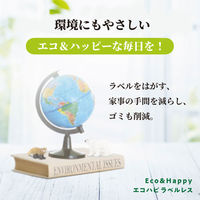 伊藤園 ラベルレス 健康ミネラル むぎ茶 2L 1箱（9本入）（わけあり品）