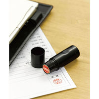 シャチハタ 日付印 データーネームEX15号 本体（年号分割式） XGL-15H-R 1本（わけあり品）