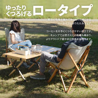 B.Bファニシング キャンプ折り畳みチェアー 幅530×奥行580×高さ810mm ONOD-0061 1台（直送品）