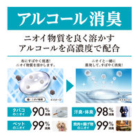 ノンスメル清水香 衣類・布製品・空間用スプレー ホワイトティーフレッシュの香り 詰め替え 600ml 1個 白元アース