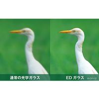 ケンコー・トキナー アバンター 8倍×25mmED双眼鏡 AVT-0825ED 1個 63-3365-34（直送品）