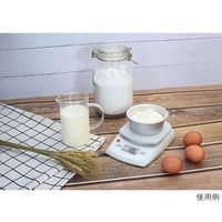 オーハウス コンパクト天びん コンパスCRシリーズ 220g 0.1g(プレミアムパック) CR221VPJP 1個 63-5729-33（直送品）