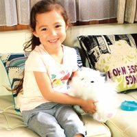 【ギフト包装】ラングスジャパン　マイドリームキッテン　22-0341-060　1個（直送品）