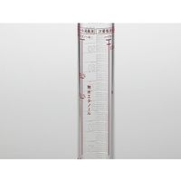 サンプラテック 消毒液作製メスシリンダー AMSー100 31056 1本 64-3977-13（直送品）