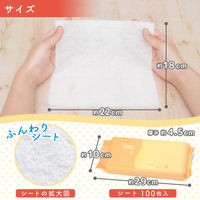 【おしりふき】【トイレに流せる】レック NC水99.9おしりふき中判100枚 E90536 1個