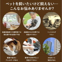 アーテック おへんじアニマル 猫 音声認識ぬいぐるみ 51931 1個
