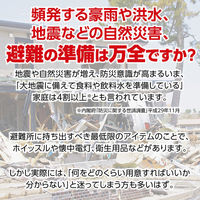 アーテック 帰宅困難者支援 11点セット 52151 1セット（直送品）