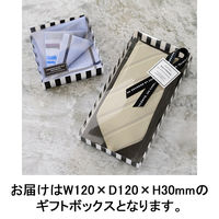 ヘッズ フィエルテフラットPETクリアBOX-3 FIE-FPB3 1セット(10枚×5パック)（直送品）