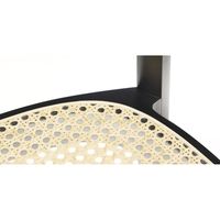 【組立設置込】プラスファニチャーカンパニー THONET チェア ブラック TN-118-BK 1脚（直送品）