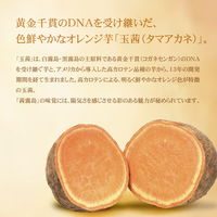 茜霧島 25度　1.8L パック　1本　芋焼酎 霧島酒造