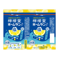 チューハイ 酎ハイ サワー 檸檬堂 ホームランサイズ うま塩レモン 500ml 1ケース（24本）