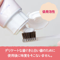 arau（アラウ） せっけんハミガキ 無添加 120g サラヤ 歯磨き粉