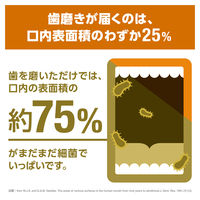リステリン オリジナル 強刺激 ビタードライ味 500mL 1セット（2本）口臭対策 マウスウォッシュ 洗口液 医薬部外品
