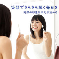 クリニカ エナメルパール ハミガキ フレッシュシトラスミント 1セット（2本） ライオン 歯磨き粉 虫歯予防 美白 ホワイトニング