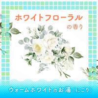 入浴剤 温泉成分 保湿 バスロマン スキンケア Ｗセラミド ホワイトフローラルの香り 600g にごりタイプ アース製薬 1セット（1個×4）