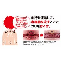 ピップ エレキバン formama 1箱（12粒入）