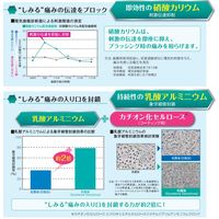 歯科医院取扱品 DENT.systema（デントシステマ） センシティブ 85g ライオン(LION) 知覚過敏ケア 歯磨き粉