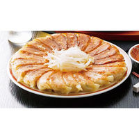 【お中元ギフト・のし付き】アイエスワイ　静岡Ｂ級グルメ浜松餃子45粒　HG-30　1個（直送品）