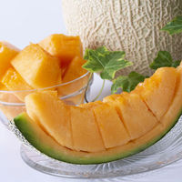 【お中元ギフト・のし付き】北海道らいでんメロン（赤肉）　HRMA28　1個（直送品）