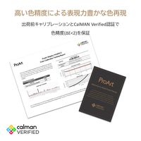 ASUS JAPAN <PAシリーズ>PA329CV(32型 解像度3840x1440 IPSパネル搭載4K液晶モニター) PA329CV（直送品）