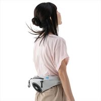 野電 ボディエアコン ・クールダイレクト（Large） 81336721 1台 LOGOS/ロゴス