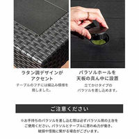 三栄コーポレーション 屋外設置、水洗い可能 ラタン調ガーデンテーブル・肘付きチェア　5点セット A1--PYXARM150TBL5_AS（直送品）