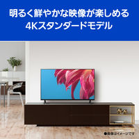 パナソニック 4K液晶テレビ 50インチ TH-50LX800 1台