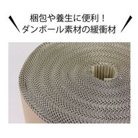ロジマート 巻きダンボール 1200×50M【NO6】1本 クラフトKA50g 3008140 1セット（直送品）