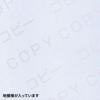 エスコ A4/100枚 コピー偽造防止用紙(個人情報保護 EA759XB-1A 1セット(500枚:100枚×5パック)（直送品）