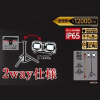 高儀 EARTH MAN LEDワークライトスタンド式ダブル 60W WLTー060LWA 4907052610705 1個（直送品）