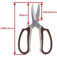 高儀 TAKAGI 本刃付ステンレス刃長木鋏 195mm 4907052713505 1セット（2個）（直送品）