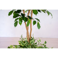 岩や 人工樹木／人工観葉植物　ベンジャミン寄植 A-0002 1個（直送品）