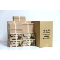 林製紙 (7302)壱億円30Wボックスティッシュペーパー 120573 1箱（100個)（直送品）