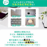 ビアンコジャパン 洗面台の水垢撃退2点セット ts-101_set300_micro 1セット