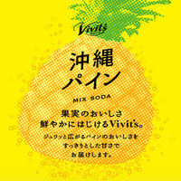 伊藤園 Vivit's（ビビッツ）沖縄パイン 450ml 1箱（24本入）