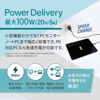 USB4ケーブル - USB（C）[オス] 0.8m 100W 40Gbps ブラック オウルテック 1本